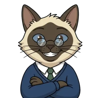 Mochi · professional
